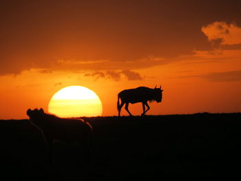 Silhouette horse on field during sunset