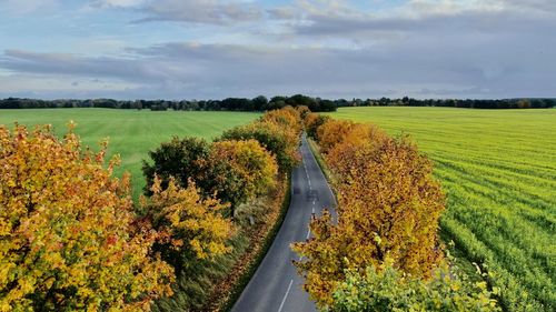 Scenic view of road amidst trees against sky during autumn