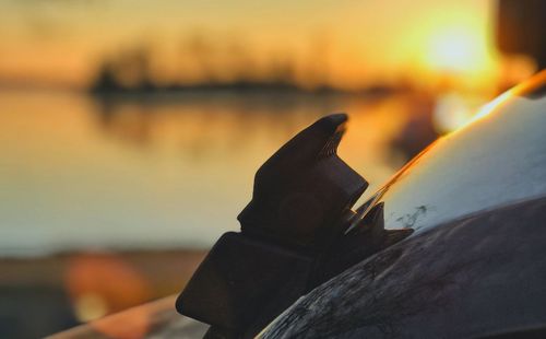 Close-up of bird against sky at sunset