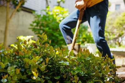 Low section of person working on plants