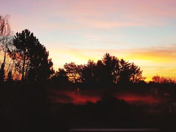 Silhouette trees in forest against sky at sunset