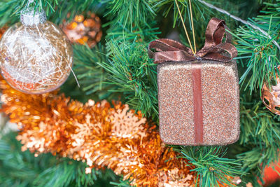 Close-up of christmas tree in box