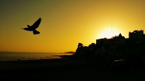 Seagull flying over sea against clear sky during sunset