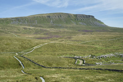 Scenic view of pasture with mountain in the background