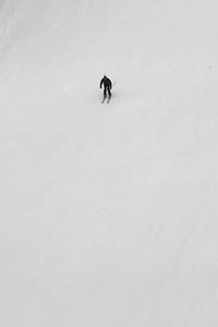 High angle view of horse on snow