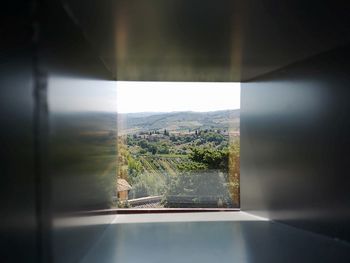 Plants seen through glass window