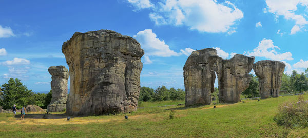 Panoramic view of trees on field against sky