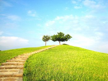 Steps on grassy hill against cloudy sky