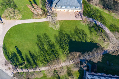 High angle view of trees in garden