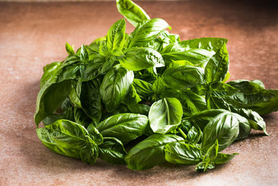 Close-up of green leaves on table