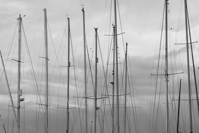 Sailboats on sea against sky