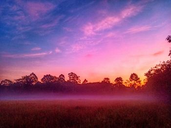 Silhouette trees on field against sky at sunset