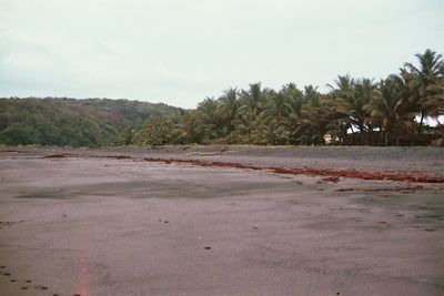 Scenic view of trees by sea