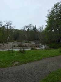 Scenic view of pond