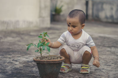 Portrait of cute baby boy holding potted plant