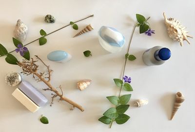 High angle view of potted plant on table