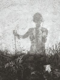 Close-up of wall