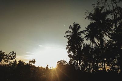 Low angle view of silhouette trees against sky during sunset