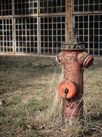 Close-up of fire hydrant on field