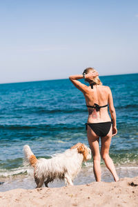 Full length of dog on beach