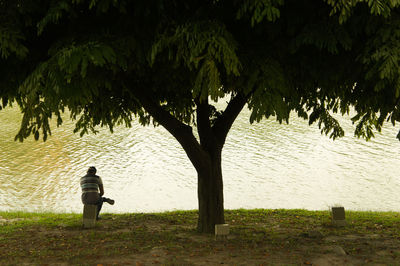 Rear view of man standing by trees