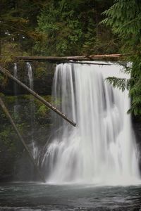 View of waterfall in forest