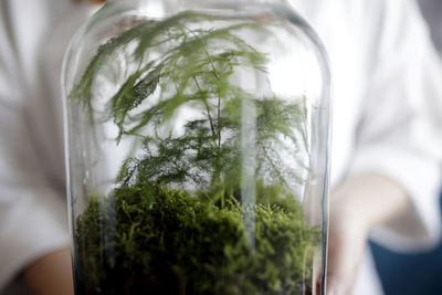 Close-up of person in jar