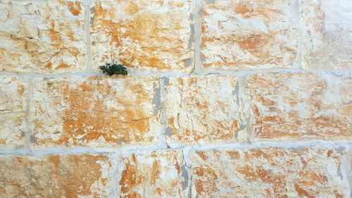 Full frame shot of stone wall