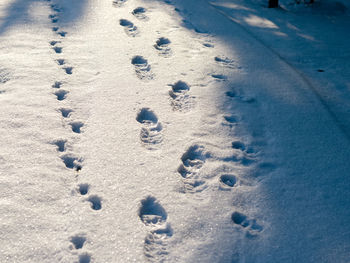 High angle view of footprints on snow covered land