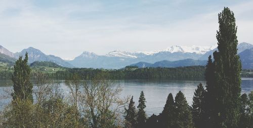 Scenic view of lake