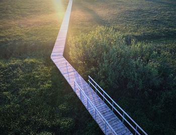 High angle view of grass and trees in water