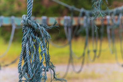 Close-up of rope tied on wooden post