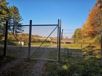 Plants growing on field against clear sky