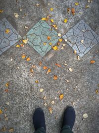 Low section of person standing on ground