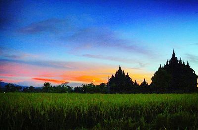 Scenic view of field against sky during sunset