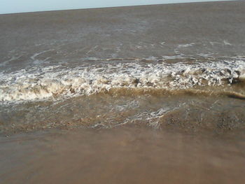 Surface level of beach