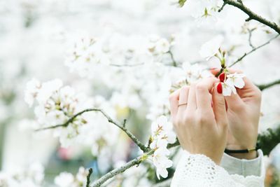 Close-up of woman holding flower