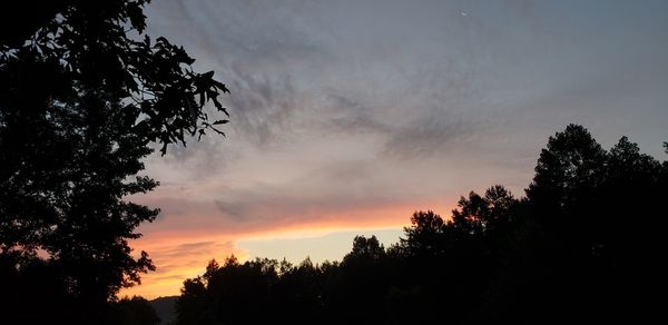 Low angle view of silhouette trees against sky during sunset