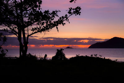 Silhouette trees on beach against sky during sunset