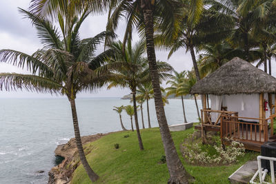 Palm trees by sea against sky