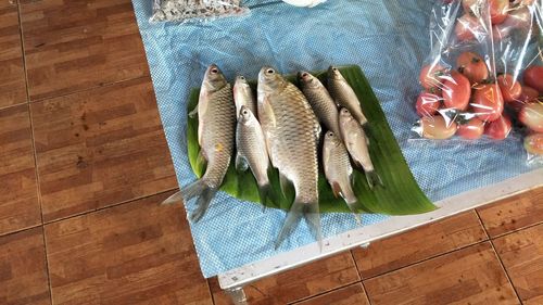 High angle view of fish on cutting board