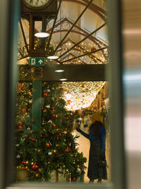 christmas tree