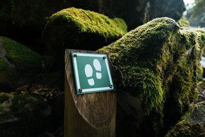 Close-up of information sign on tree stump