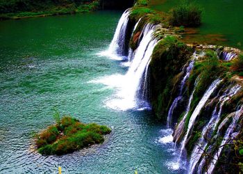 Scenic view of river amidst trees