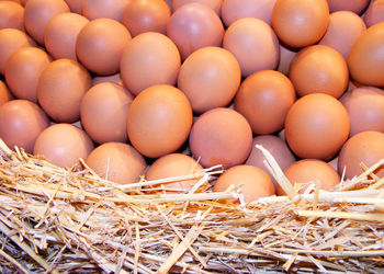 High angle view of eggs