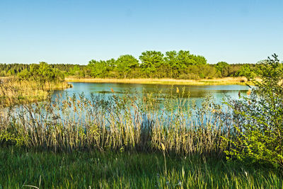 Scenic view of lake against clear sky