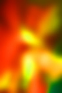 Defocused image of multi colored background