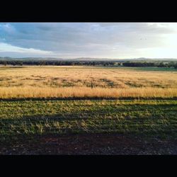 Scenic view of field against cloudy sky