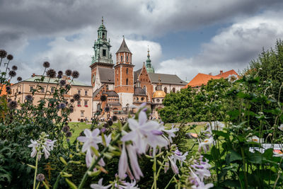 Wawel cathedral and castle with summer blooms in foreground
