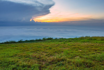 Scenic view of field against sky during sunset